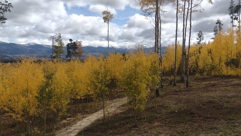 beautiful trail through the country with mountains in the background